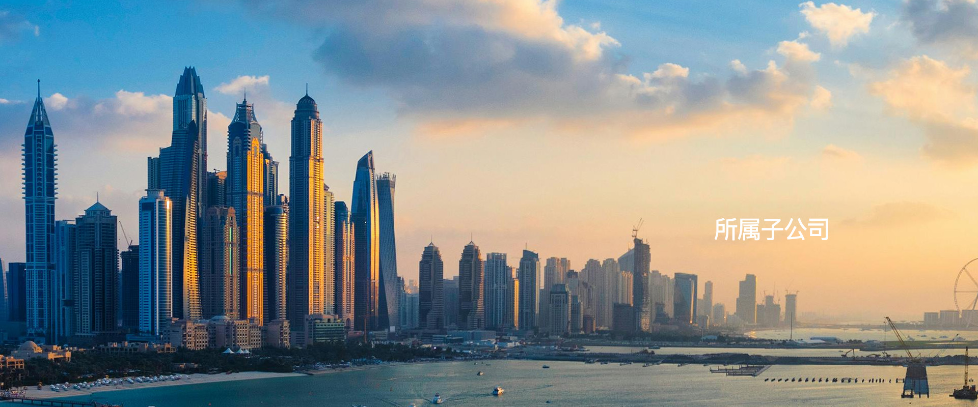 罗洋港新材料公司