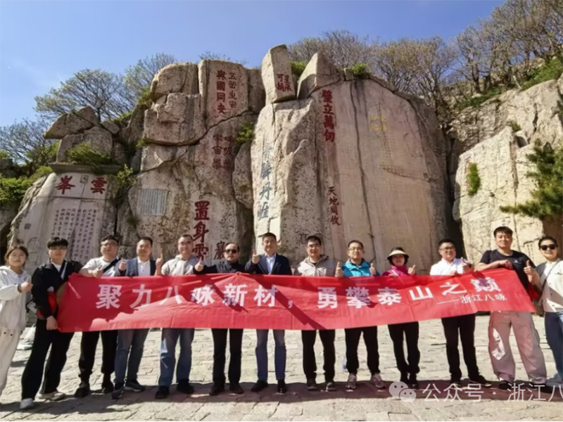 聚力八咏新材，勇攀泰山之巅
